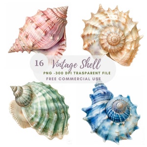 Sea Shell Clipart PNG, paquete 16 JPG de alta calidad, acuarela Vintage Shell, descarga digital, fabricación de tarjetas, medios mixtos, artesanía de papel digital / 294