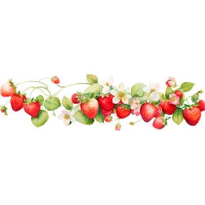 May include: A watercolour illustration of a strawberry vine, featuring bright red strawberries, green leaves, and white blossoms. The design is set against a white background. Ideal for spring and summer-themed projects, evoking a sense of freshness and vibrancy.