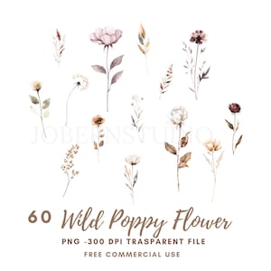 Paquete de 60 imágenes prediseñadas de flores de amapola silvestre de alta calidad, PNG, acuarela beige, flores secas, pegatinas imprimibles, Goodnotes, descarga digital, 806