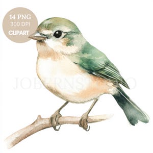 鳥のクリップアートPNGバンドル14高品質PNG | 水彩ニュートラルカラースズメ | 印刷可能なステッカーGoodnotes | デジタルダウンロード | 828