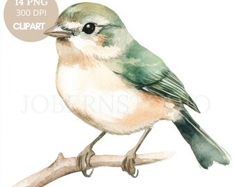 Pacote de Clipart de Pássaros PNG 14 PNG de Alta Qualidade | Pardal em Aquarela de Cor Neutra | Adesivos para Imprimir Goodnotes | Download Digital | 828