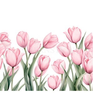 Tulips Flower Border Clipart Bundle 12 High Quality PNG, Watercolor Floral Garland, Digital Download,Card Making,Digital Paper Craft| 301