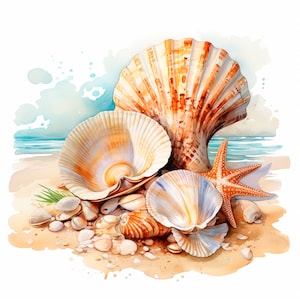 Sea Shell Clipart PNG, paquete 10 JPG de alta calidad, conchas de acuarela, pegatina, descarga digital, fabricación de tarjetas, medios mixtos, artesanía de papel digital / 353