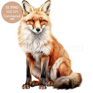 Renard Clipart PNG, lot de 15 PNG haute qualité, renard aquarelle en téléchargement numérique, autocollants imprimables, fabrication de cartes, création numérique en papier | 452