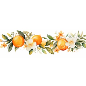 Pacchetto di clipart Orange Garland 10 PNG di alta qualità, bordo di frutta acquerello, ghirlanda di limone, download digitale, creazione di carte, artigianato in carta digitale/ 184