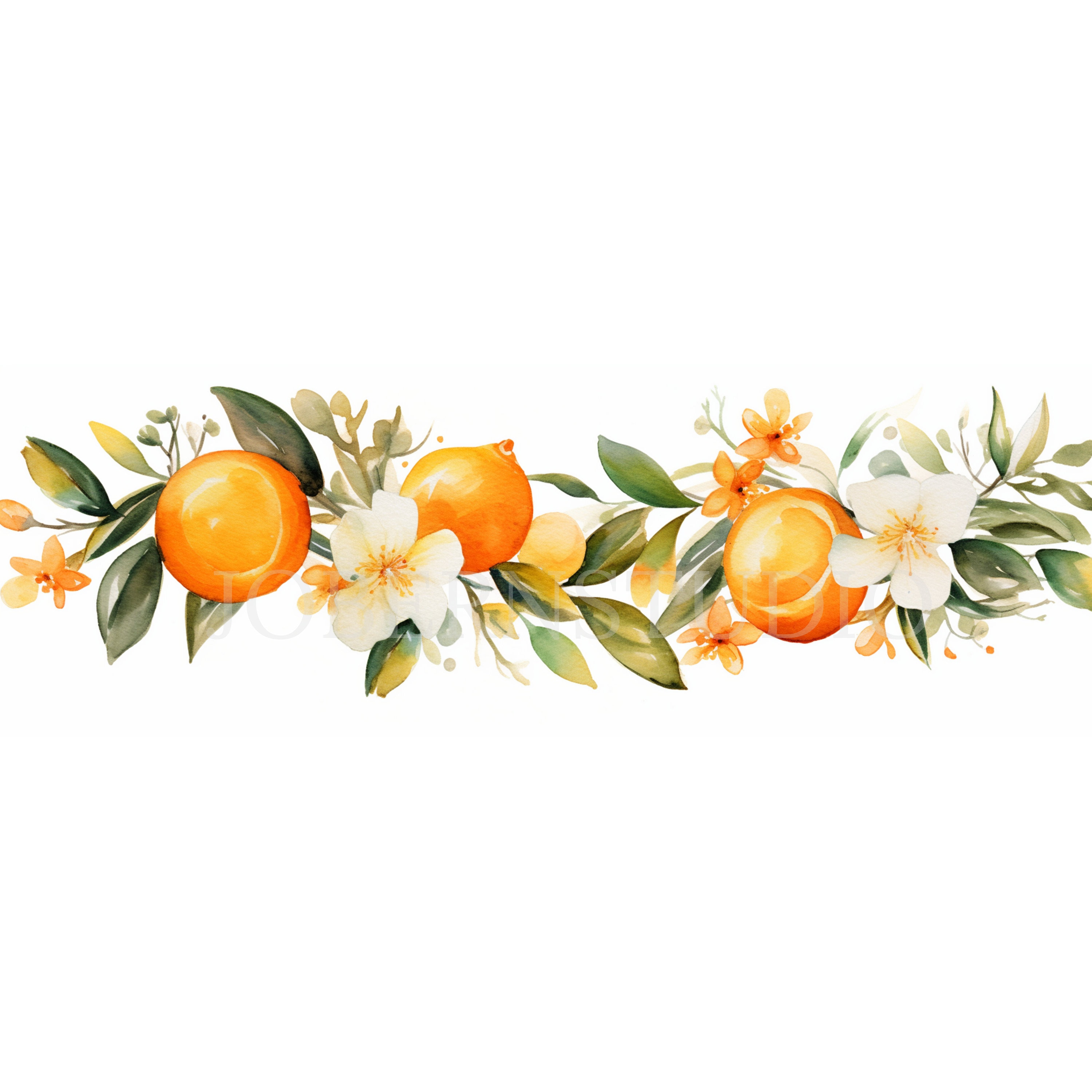 Orange Garland Clipart Bundle 10 High Quality Png,watercolor Fruit