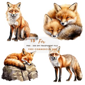 Renard Clipart PNG, lot de 15 PNG haute qualité, renard aquarelle en téléchargement numérique, autocollants imprimables, fabrication de cartes, création numérique en papier | 452