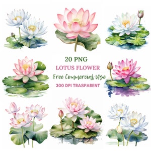 Pacchetto clipart fiore di loto 20 alta qualità, acquerello acqua floreale, adesivi digitali, download digitale, creazione di cartoline, artigianato con carta digitale/163