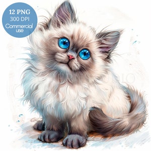 Ragdoll chaton Clipart PNG Bundle 12 haute qualité JPG, drôle de chat Ragdoll, téléchargement numérique, fabrication de cartes, techniques mixtes, autocollants imprimables | 390