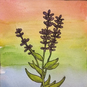 Art de fierté de lavande, impression d'art d'arc-en-ciel de fleur, carte de fierté
