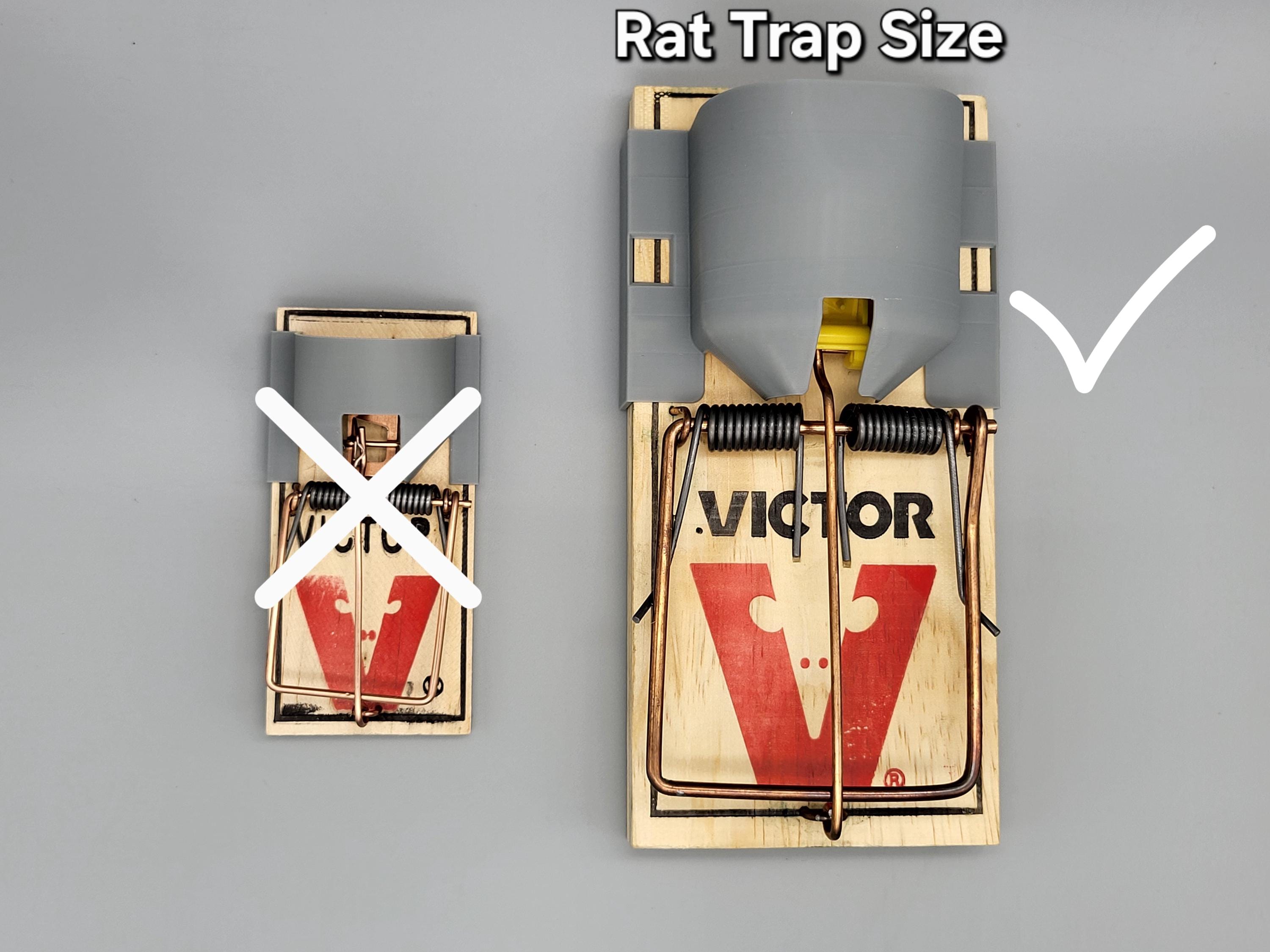 Rat Trap Riding Raptor Victor Rat Trap Uk
