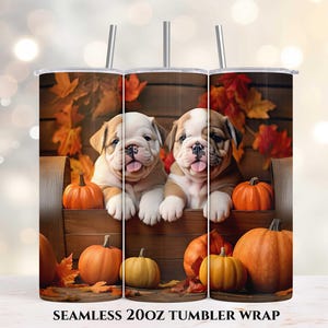 English Bulldog Puppies Fall Pumpkins 20oz Skinny Tumbler, Sublimation Design, Straight Tumbler Wrap PNG, Instant Digital Download, Fall PNG