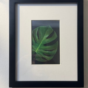 Tropical Plants Changing Illustration - Shifting Lenticular Art for Nature Lovers & Home Decor