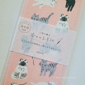 Pink Cat Letter Writing Set from &quot;Today&#39;s Letter Series&quot; on Premium Mino Washi Paper by Furukawa Shiko! FREE kawaii pen included!