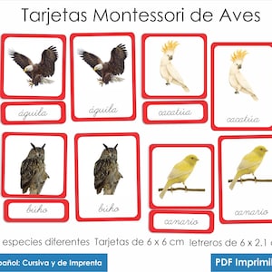Montessori Bird Cards, 45 different birds on three part Montessori cards in one montessori printable PDF file