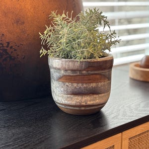 Puede incluir: Una pequeña maceta de cerámica con un diseño a rayas en tonos marrones y grises, que contiene una planta verde. En el fondo se ve un jarrón grande de color marrón oscuro. La maceta mide unos 10-15 cm de altura.