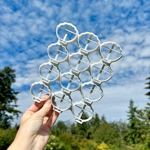 May include: White plastic cookie cutter with 16 scallop shapes. The cutter is held in a hand against a blue sky with white clouds.