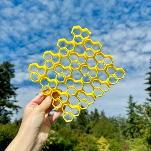 Sweet Honeycomb- Batch Cookie Cutter