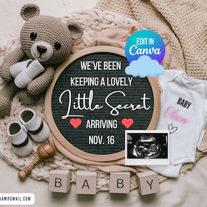 Digital Pregnancy Announcement / Pregnancy Reveal / Social Media / Gender Neutral / Facebook / Instagram / Boho / Personalized