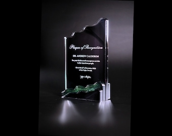 Trophies & Awards