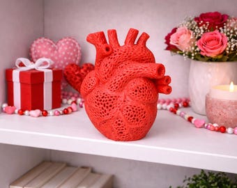 3D Printed Anatomical Heart Sculpture | Modern Valentine Decor | Human Heart Art | Unique Love Gift | Shelf Decor