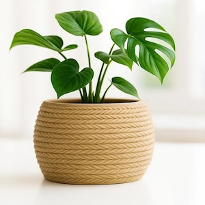 Puede incluir: Una planta de Monstera con hojas verdes grandes en una maceta beige. La maceta es redonda y tiene un diseño de cuerda texturizada. La planta está sobre una superficie blanca, con una ventana borrosa en el fondo.