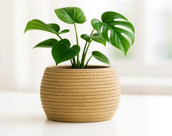 Rope-Style Planter Pot – Modern Indoor Plant Pot for Home & Office Décor