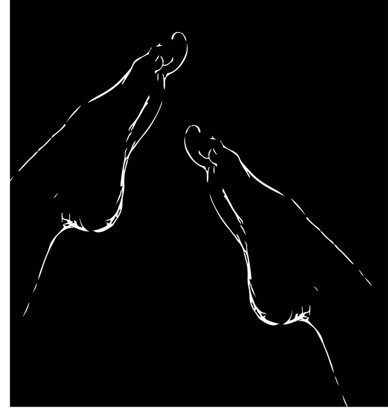 May include: A black and white line drawing of two feet pointing upwards.