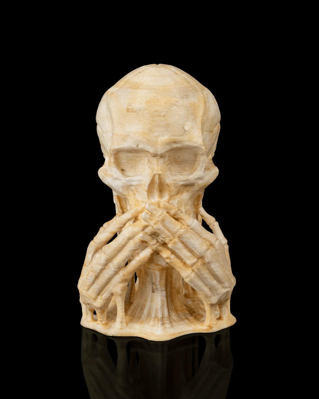 知恵の頭蓋骨像セット - Etsy 日本