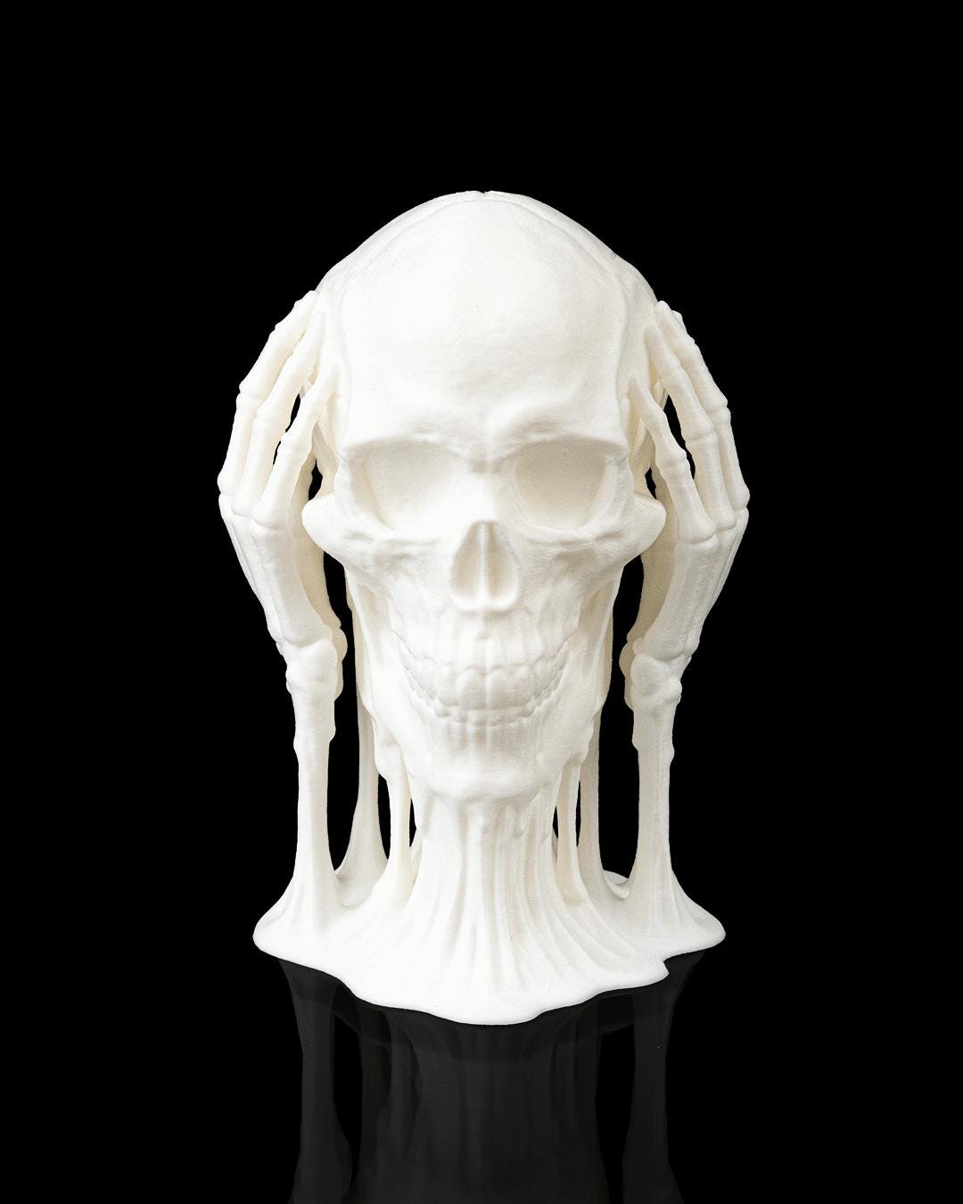 知恵の頭蓋骨像セット - Etsy 日本