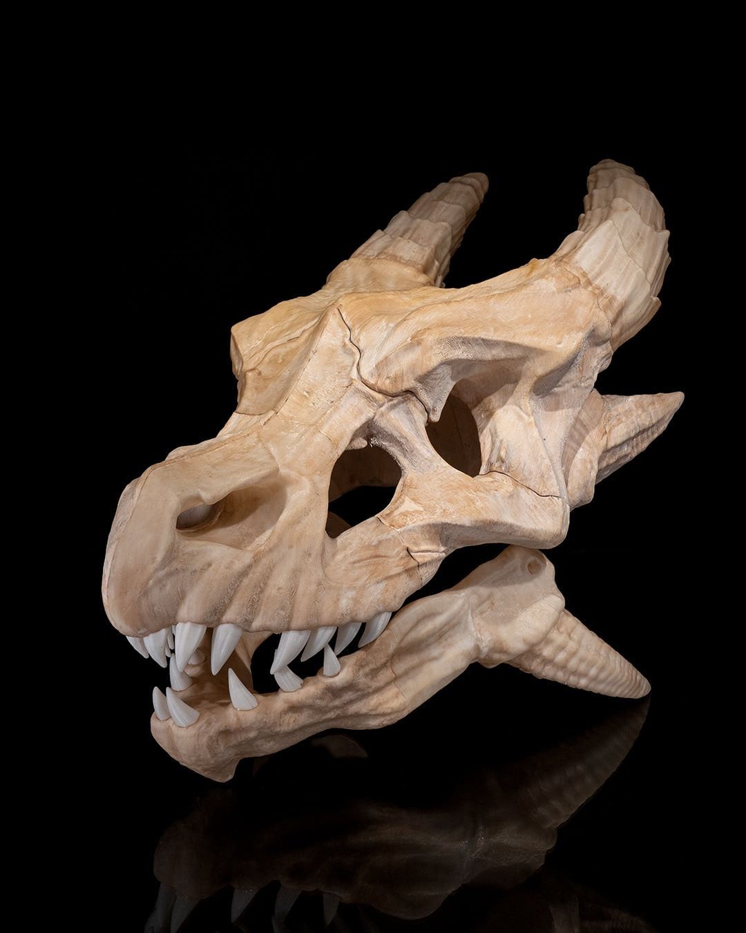 Skull of the Red Dragon - Etsy