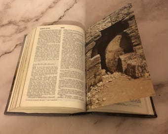 NIV Holy Bible Illustrated Edition 1990 - Ref x500