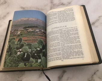 1981 Illustration Colour Holy Bible - Ref x494