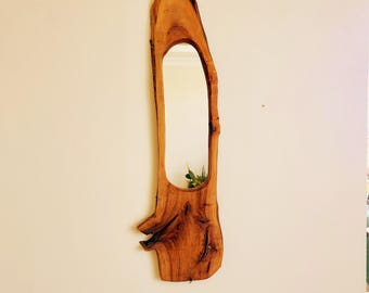 May include: A long, narrow mirror crafted from natural wood, featuring an oval-shaped reflective surface. The wood has a warm, brown hue and visible grain patterns. The mirror is mounted on a cream-coloured wall, showcasing its organic shape.