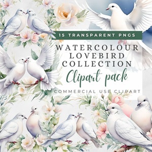 Imágenes Prediseñadas de palomas de acuarela, pájaros del amor, imágenes prediseñadas de acuarela, diarios basura, arte digital romántico, invitación de boda, descarga digital, png