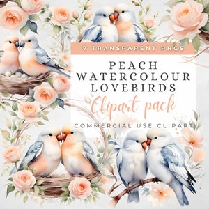 Clipart di piccioncini dell'acquerello, piccioncini, clipart acquerello, diari spazzatura, arte digitale romantica, invito a nozze, download digitale