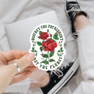 Destroy the Patriarchy not the Planet Frauenrechte Aufkleber, Pro Wahl Aufkleber, Wasserflasche Aufkleber, Laptop Aufkleber, Aufkleber, Geschenke