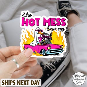 The Hot Mess Express Funny Goose And Raccoon Sticker, Anxiety Sticker, Sarcastic Sticker, Laptop Decal, Spicy Disaster, Chaos Coordinator