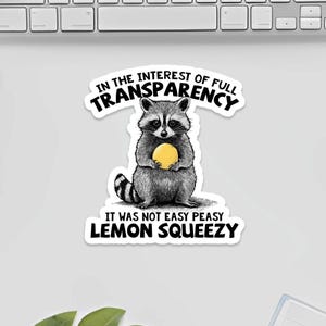Non era un adesivo Easy Peasy Lemon Squeezy, adesivo divertente procione, adesivo sarcastico, adesivo meme, procione carino, adesivo in vinile impermeabile