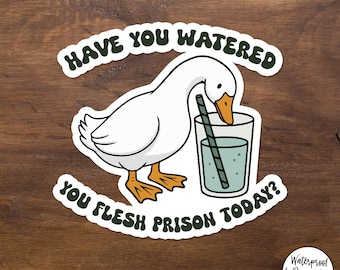 Adesivo "Hai annaffiato la tua carne in prigione?", Adesivo divertente con umorismo nero, Promemoria per la cura di sé, Umorismo sulla salute mentale, Adesivo per bottiglia d'acqua per laptop