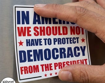 Protect Democracy Protest Sticker or Magnet, Anti Trump Political Vinyl Decal, Activist Resistance Protest Sticker