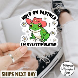 Hold On Partner I'm Overstimulated Sticker, Cowboy Frog Sticker, Anti-Social Meme, Cute Frog Laptop, Water Bottle, Planner, Kindle