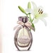 see more listings in the Parfum pour Femme section