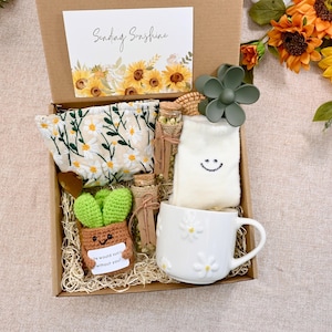Emotional Support Plant Gift Box，Sending Sunshine Gift ,Warm and Cozy Gift Box With Crochet Succulents,Sympathy gift box,Hug in a box