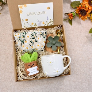 Emotional Support Plant Gift Box，Sending Sunshine Gift ,Warm and Cozy Gift Box With Crochet Succulents,Sympathy gift box,Hug in a box