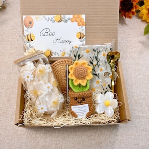 Emotional Support Plant Gift Box，Sending Sunshine Gift ,Warm and Cozy Gift Box With Crochet Succulents,Sympathy gift box,Hug in a box