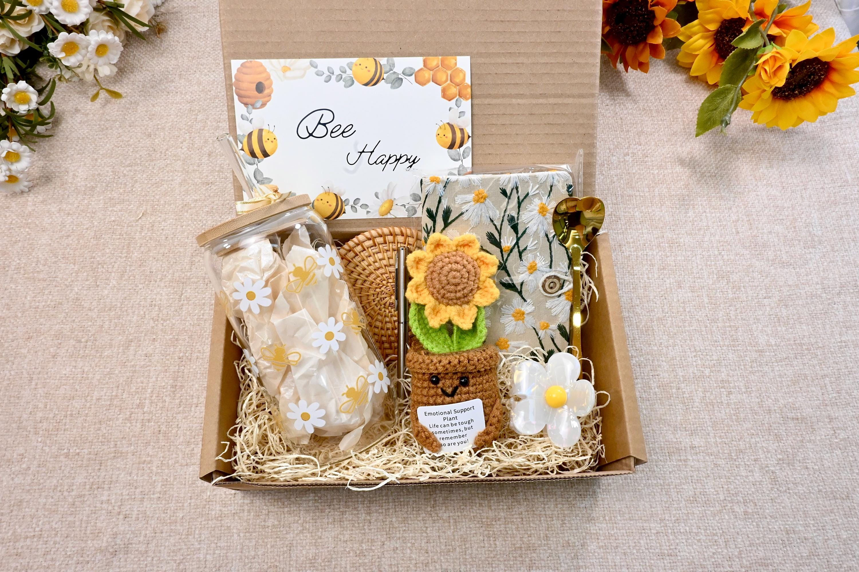 Emotional Support Plant Gift Box，Sending Sunshine Gift ,Warm and Cozy Gift Box With Crochet Succulents,Sympathy gift box,Hug in a box