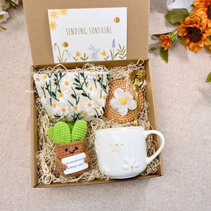 Emotional Support Plant Gift Box，Sending Sunshine Gift ,Warm and Cozy Gift Box With Crochet Succulents,Sympathy gift box,Hug in a box