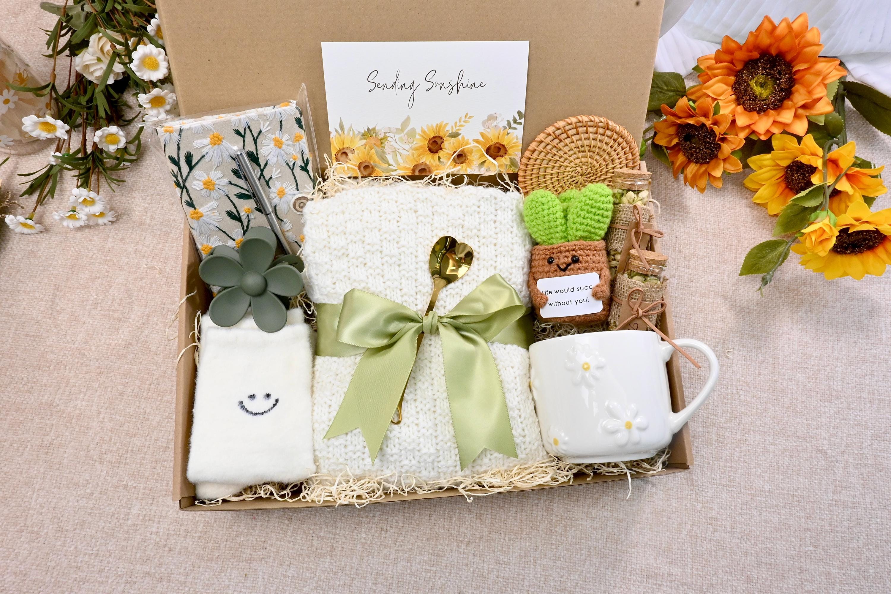 Emotional Support Plant Gift Box，Sending Sunshine Gift ,Warm and Cozy Gift Box With Crochet Succulents,Sympathy gift box,Hug in a box