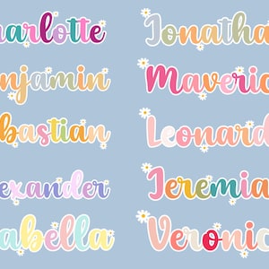 Custom Cute Name Daisy Flowers Floral Decal Personalized Your Text Stickers for Kids Boys Girls Adult Waterproof Die-Cut Vinyl Sticker Decal